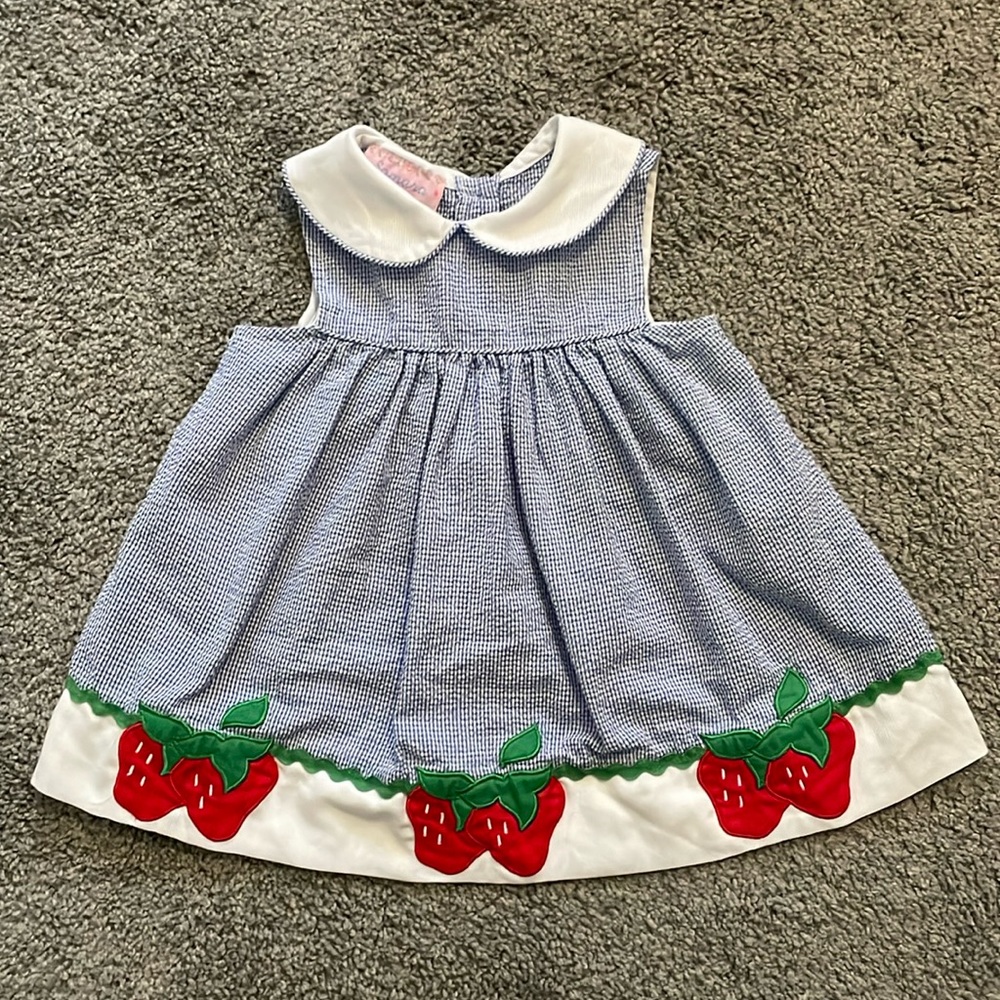 Vintage Samara Blue Gingham Strawberry toddler dress - 2T